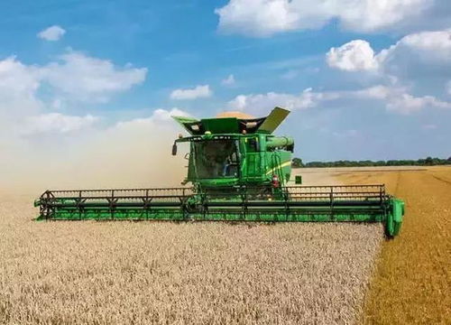 理性看待农业税收政策与农资价格关系，多措并举保障农民福祉