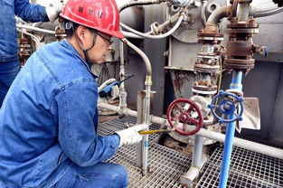 喜报！公司三化肥装置一次开车成功，顺利产出优质尿素产品