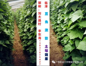 新启力肥料,产品竞争力无可比拟